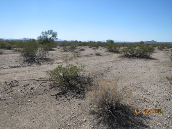 Lot 36A& Douglas Ln: Douglas Ln, Yucca, AZ 86438